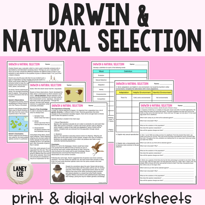 Patterns of natural selection worksheet