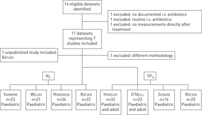 Cystic fibrosis case study hesi