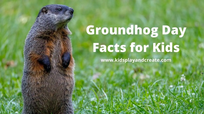 Groundhog day questions and answers