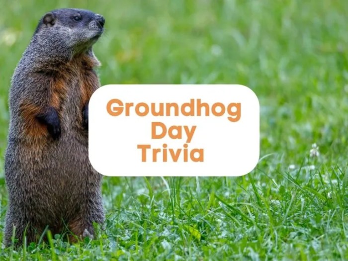 Groundhog day questions and answers