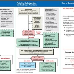 Red cross cpr test answers