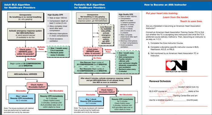 Red cross cpr test answers