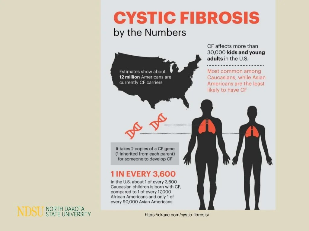 Fibrosis cystic pathogenesis complications pharmacology calgaryguide findings student