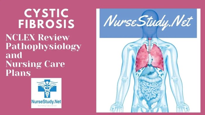 Cystic fibrosis case study hesi