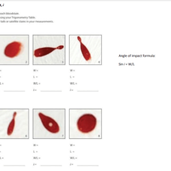 Blood spatter webquest pdf answer key