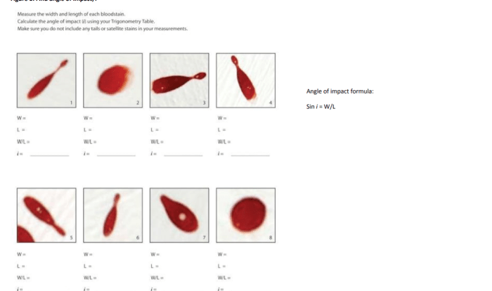 Blood spatter webquest pdf answer key