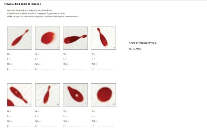 Blood spatter webquest pdf answer key