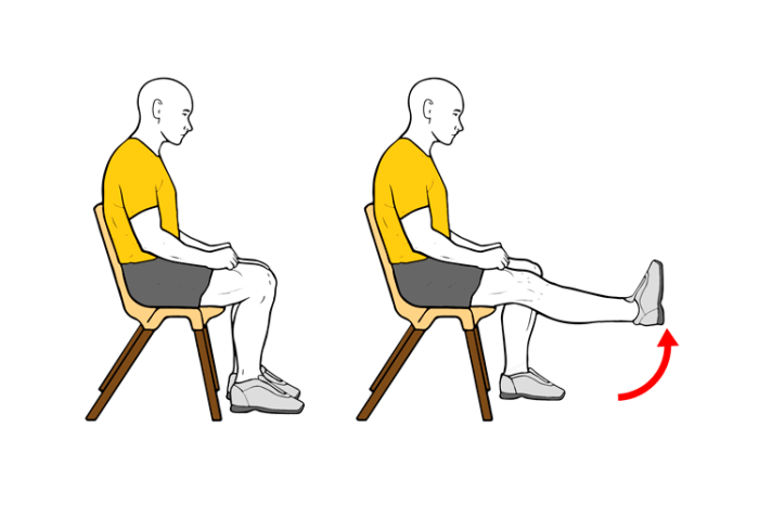 Flexión y extensión de cadera