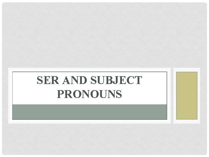 Gramatica c subject pronouns and ser