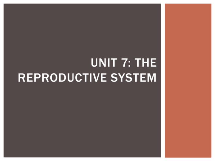 Section 39-3 the reproductive system answer key