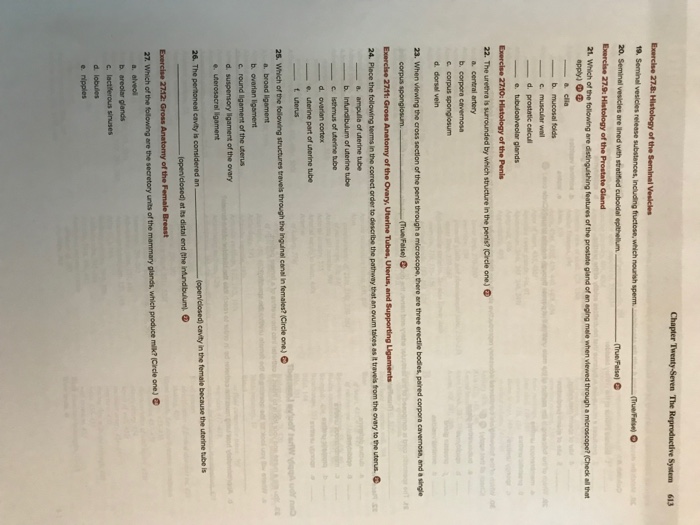 Section 39-3 the reproductive system answer key