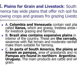 Grassy treeless plains of southern south america