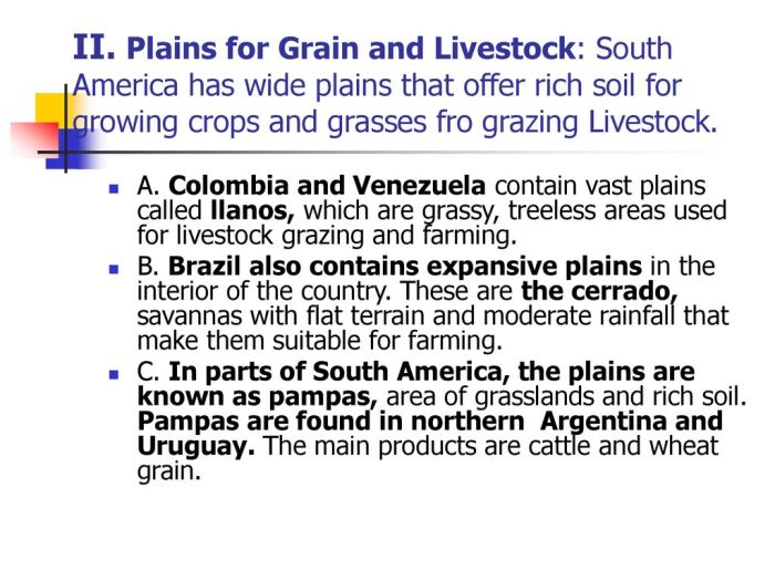 Grassy treeless plains of southern south america