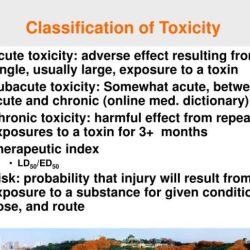 Toxicology drug classification coloring sheet